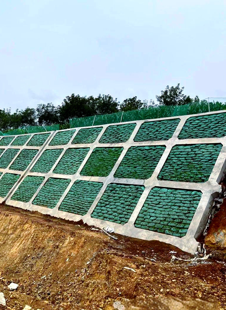 盐城建湖县框格梁支护